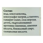 Шампунь «СпивакЪ» дегтярный, для жирных и нормальных волос, 250 мл - Фото 2