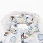 Комплект детский (Куртка + Полукомбинезон), рост 104 см, цвет серый(коты) - Фото 3