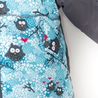 Комплект детский (Куртка + Полукомбинезон), рост 98 см, цвет серый/голубой(совы) - Фото 5