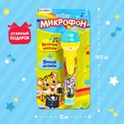 Микрофон музыкальный «Пой со мной», свет, звук, работает от батареек - Фото 4