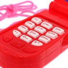 Музыкальный телефон «Домашние питомцы», русская озвучка, световые эффекты, работает от батареек, МИКС - Фото 2