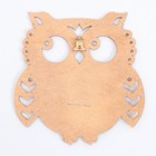 Пробковая доска «Сова, 19,5 х 20 см - Фото 4