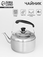 Чайник со свистком, 3.6 л, нержавеющая сталь, хромированный - Фото 1