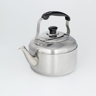 Чайник со свистком из нержавеющей стали, 3,6 л, цвет хромированный - фото 4250069