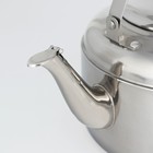 Чайник со свистком из нержавеющей стали, 3,6 л, цвет хромированный - фото 4250070