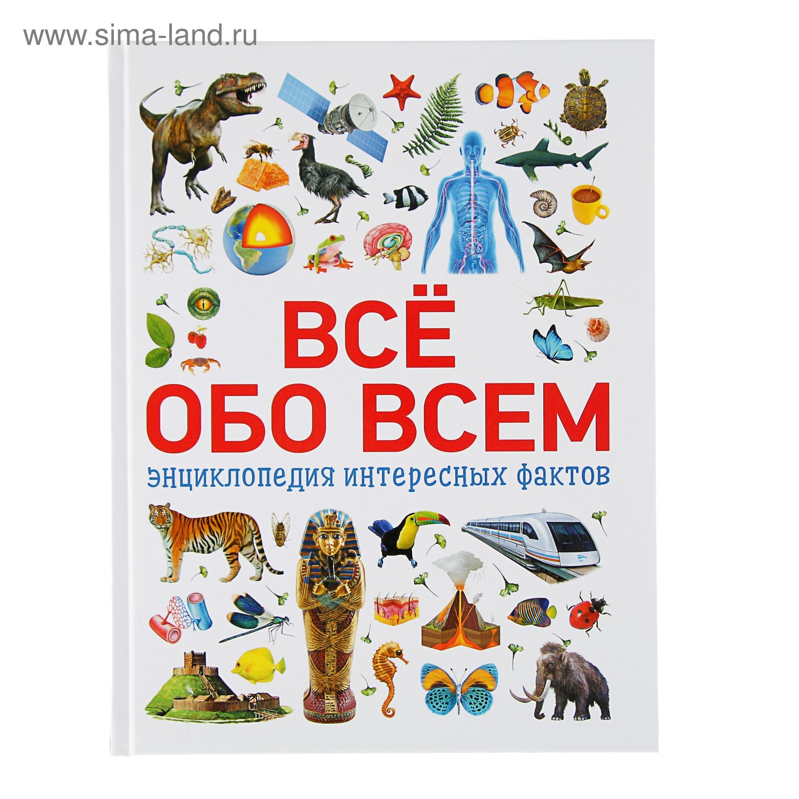 Интересное обо всем на свете. Обо всем. Обо что об этом. Надпись все обо всем. Обо всём по немногу.