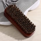 Щётка для обуви с конским волосом, 13×5×4 см - фото 8405693
