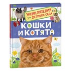 Энциклопедия для детского сада «Кошки и котята» - фото 9394034