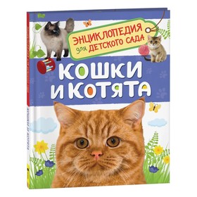 Энциклопедия для детского сада «Кошки и котята» 3825198