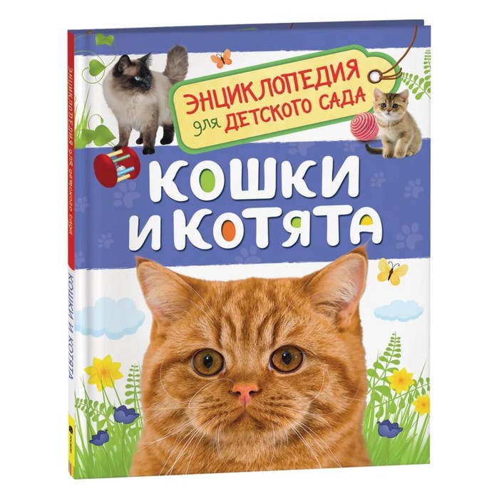 Энциклопедия для детского сада «Кошки и котята» - Фото 1