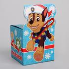 Подарочная коробка «С Новым Годом!», PAW PATROL, 8 х 8 х 8 см - Фото 2