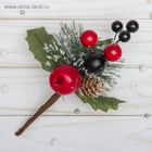 Еловая ветка декоративная «Зимнее волшебство. Мечты», 20 см 3535527