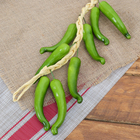 Муляж "Связка" 12 перцев, 45 см, зелёный - Фото 1