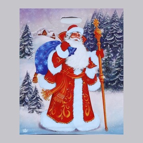 Пакет подарочный новогодний «Желанный гость», полиэтиленовый с вырубной ручкой, 47.5×39 см