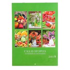 Календарь на скрепке "Сад и огород. Лунный календарь" 2019 год, 21,5х29,5см - Фото 3