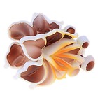 краб для волос цветочный яркий орхидея 10 см - Фото 1