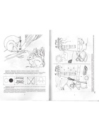 Рабочая тетрадь «Добро пожаловать в экологию!», для детей 4-5 лет, средняя группа, 2 часть, Воронкевич О. А. - Фото 3