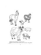 Рабочая тетрадь «Добро пожаловать в экологию!», для детей 4-5 лет, средняя группа, 2 часть, Воронкевич О. А. - Фото 4
