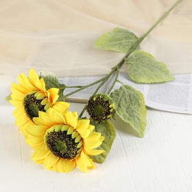 Куст подсолнуха