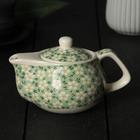 Чайник заварочный «Весеннее цветение», 200 мл , с металлическим ситом, цвет зеленый - фото 4677057