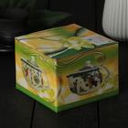 Чайник заварочный «Весеннее цветение», 200 мл, с металлическим ситом, цвет зеленый - Фото 6