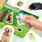 250 наклеек «Животные фермы и леса», 8 стр. - Фото 5