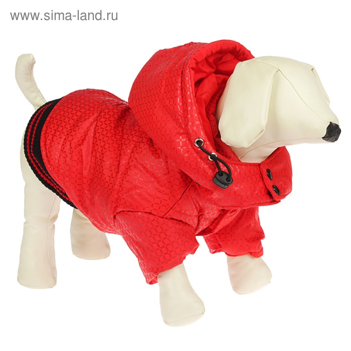 Куртка супертеплая на синтепоне, размер L (ДС 39 см, ОГ 50 см), красная - Фото 1