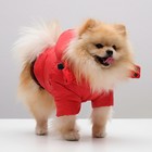 Куртка супертеплая на синтепоне, размер L (ДС 39 см, ОГ 50 см), красная - Фото 4