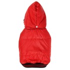 Куртка супертеплая на синтепоне, размер L (ДС 39 см, ОГ 50 см), красная - Фото 7