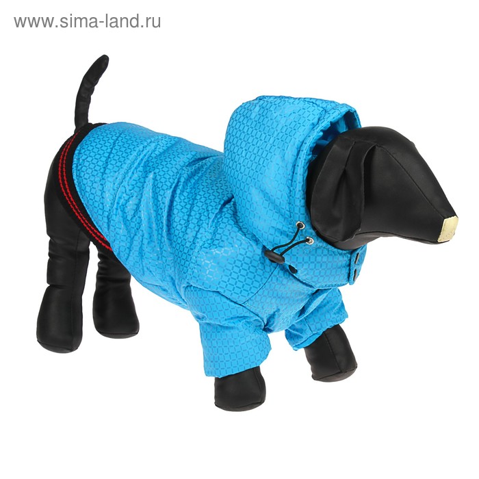 Куртка супертеплая на синтепоне, размер L (ДС 39 см, ОГ 50 см), голубая - Фото 1