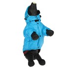 Куртка супертеплая на синтепоне, размер L (ДС 39 см, ОГ 50 см), голубая - Фото 4