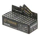 Батарейка алкалиновая TUNDRA, AA, LR6 спайка, 4 шт - Фото 3