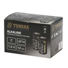 Батарейка алкалиновая TUNDRA, C, LR14, блистер, 2 шт - Фото 4