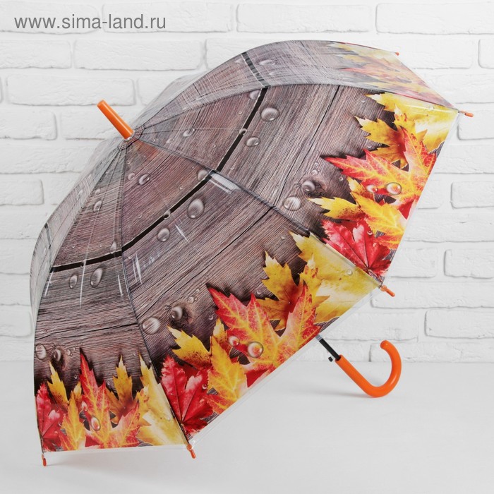 Зонт из листьев фото Зонт из листьев фото