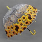 Зонт - трость полуавтоматический «Подсолнухи», 8 спиц, R = 42 см, цвет жёлтый - Фото 1