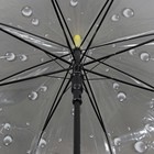 Зонт - трость полуавтоматический «Подсолнухи», 8 спиц, R = 42 см, цвет жёлтый - Фото 4