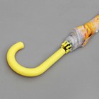 Зонт - трость полуавтоматический «Подсолнухи», 8 спиц, R = 42 см, цвет жёлтый - Фото 5