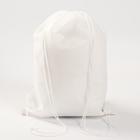 Мешок для обуви «Енот» (нетканый материал) 41×30 см - Фото 3