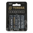 Батарейка алкалиновая TUNDRA, AA, LR6, блистер, 4 шт - Фото 1