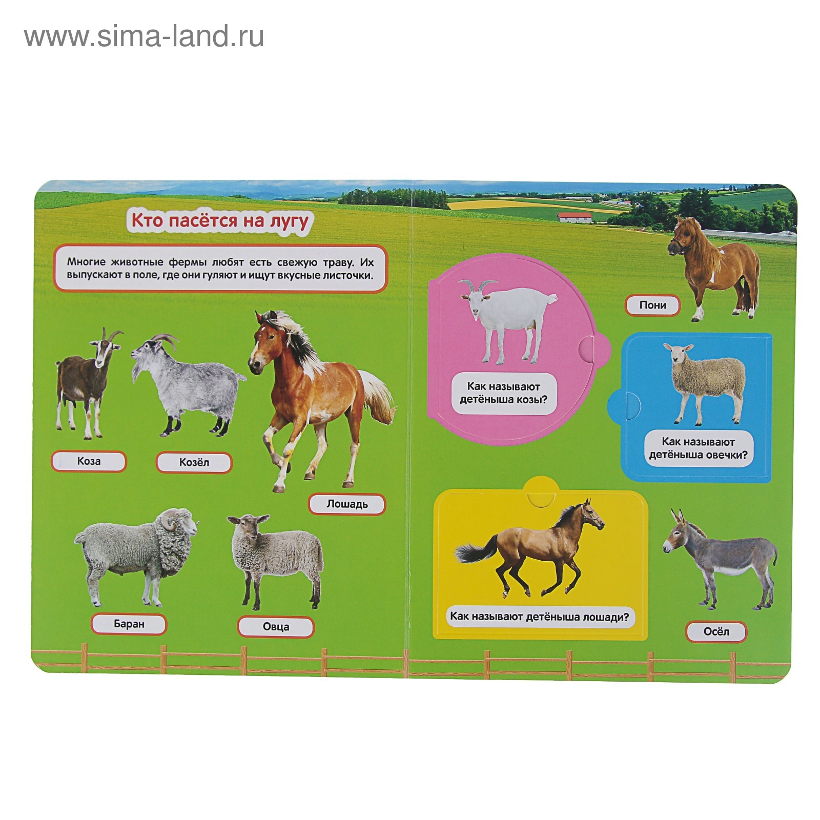Названия доомашнниххживотных. Названия доомашнниххживотных. Домашние животные и их особенности. Домашние животные и их особенности. Карточки "домашние животные".