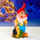 Садовая фигура "Гном с ежиком малый" 18х15х38см - Фото 6
