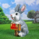 Садовая фигура "Заяц хочу капусту" 24х22х42см - фото 24396131