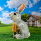 Садовая фигура "Заяц хочу капусту" 24х22х42см - фото 24396134