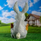 Садовая фигура "Заяц хочу капусту" 24х22х42см - фото 24396135
