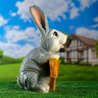 Садовая фигура "Заяц хочу капусту" 24х22х42см - фото 24396136