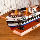 Корабль сувенирный средний «Калхас», борта триколор, паруса белые, микс, 50х45х9 см - фото 15923006