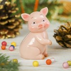 Сувенир полистоун "Хрюша скромник" МИКС  6,8х4х3,7 см - Фото 2