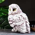 Фигурка гипс «Сова», 22×25×25 см, бело-коричневая  (артикул 3818201)  большой выбор товаров оптом и в розницу по низким ценам с доставкой