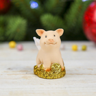 Сувенир полистоун "Поросёнок-ангелок на золотых монетах" МИКС 4,5х3х2,5 см - Фото 5