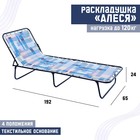 Раскладушка "Алеся" жесткая 192 х 65 х24 см. Максимальная нагрузка: 120кг.ткань МИКС - Фото 1